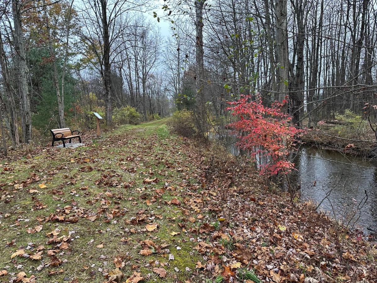 Escape To A Streamside Cabin In The Lower Catskills Wurtsboro Экстерьер фото